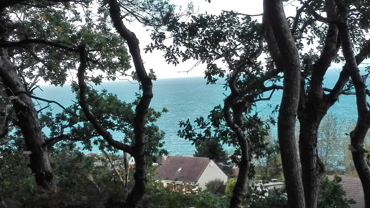 Au courtil des chênes marins, meublé 3 étoiles Vila Digosville Exterior foto